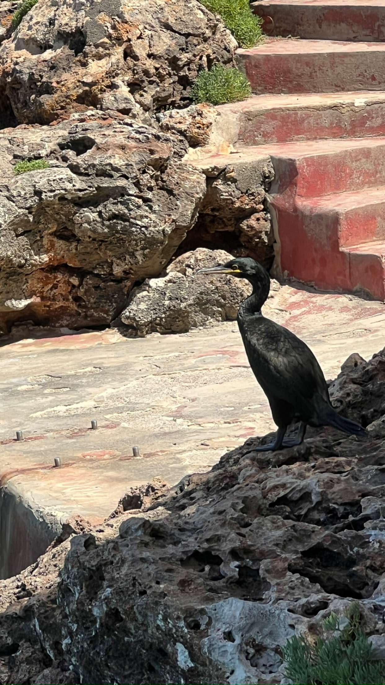 mathilda_bergs snapchat image archive image