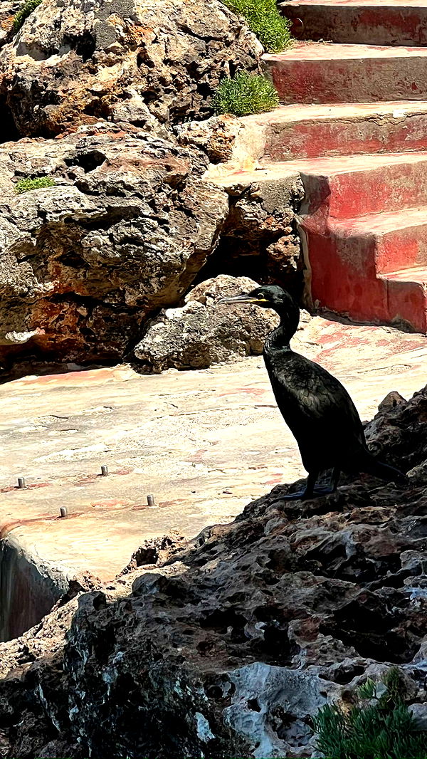 mathilda_bergs image ~ Altpins