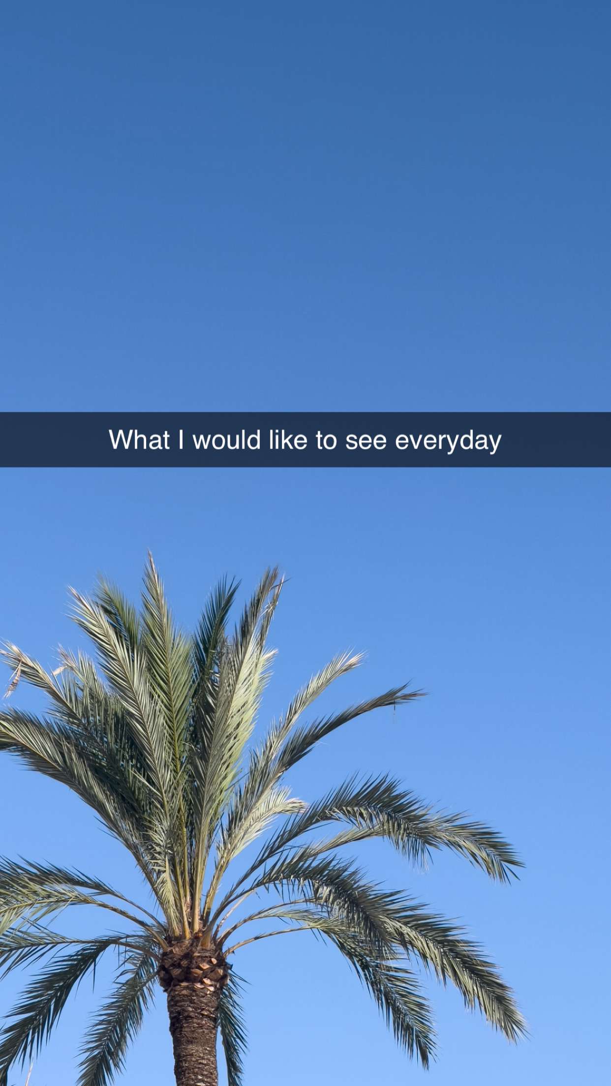 mathilda_bergs snapchat image archive image