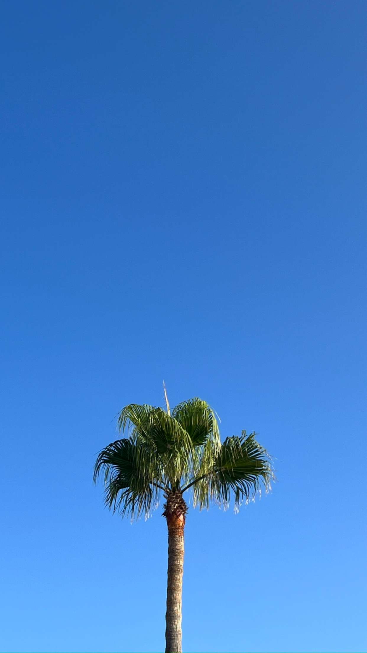 mathilda_bergs snapchat image archive image