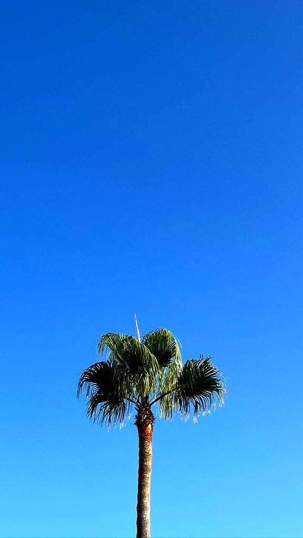 mathilda_bergs image ~ Altpins