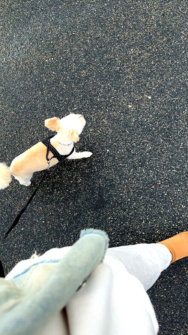 mathilda_bergs image ~ Altpins