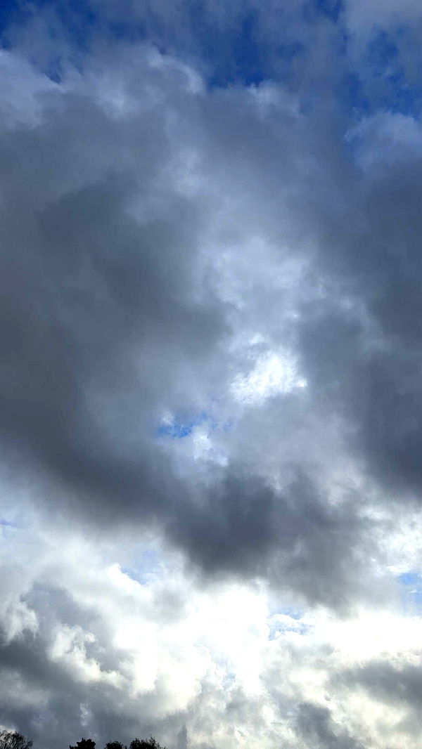 mathilda_bergs image ~ Altpins