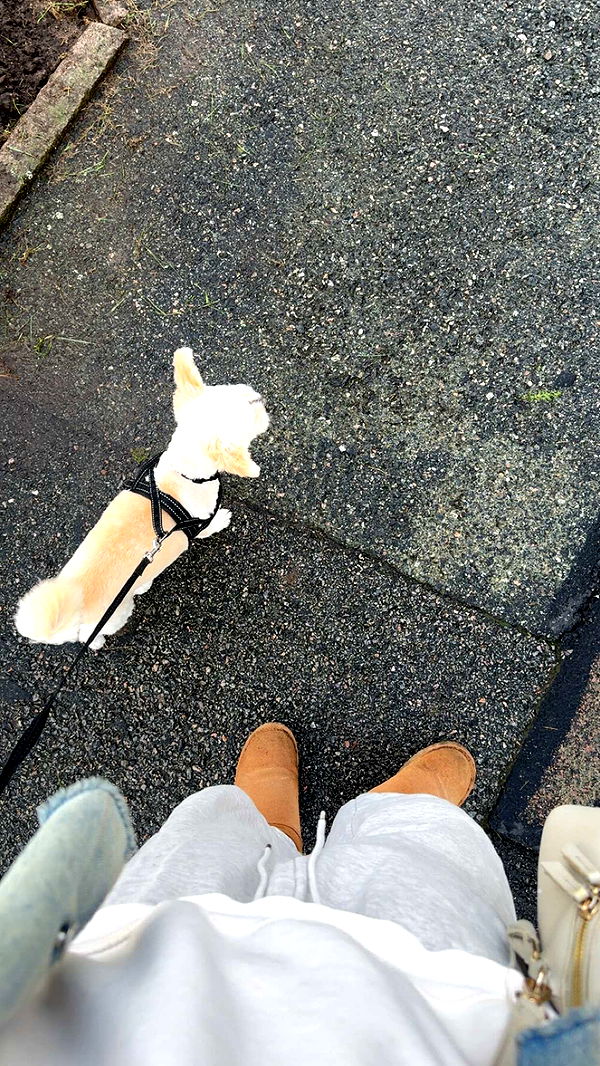 mathilda_bergs image ~ Altpins