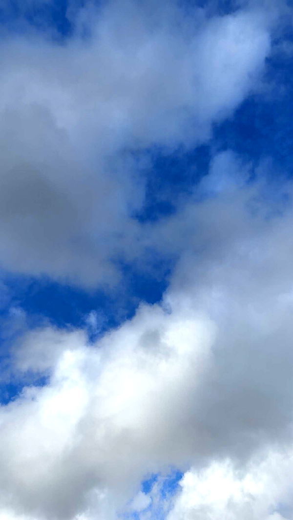 mathilda_bergs image ~ Altpins