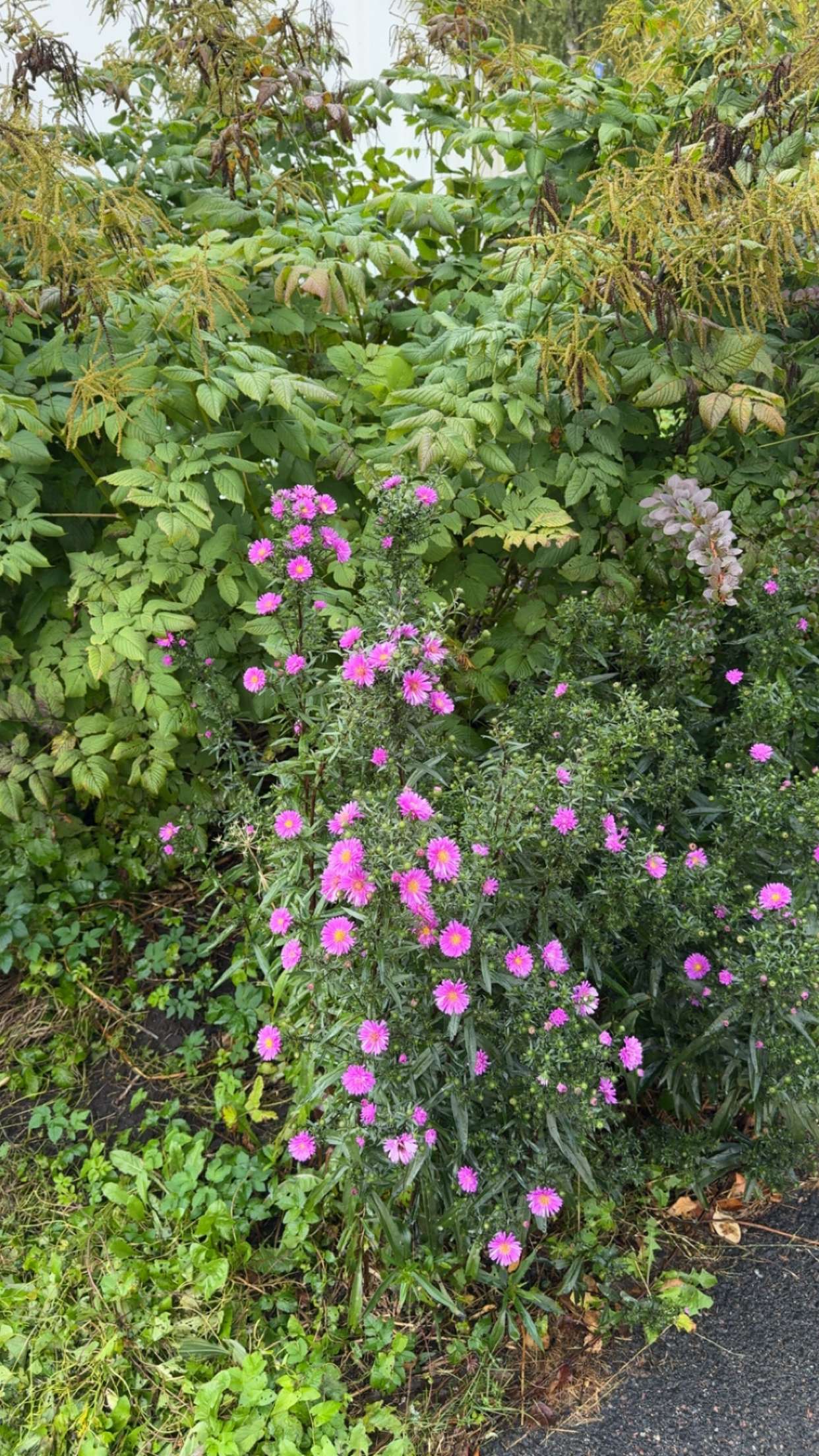 mathilda_bergs snapchat image archive image