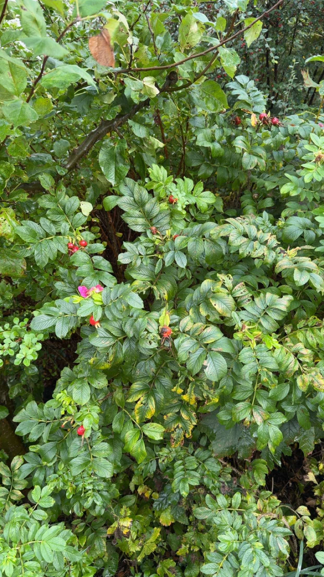 mathilda_bergs snapchat image archive image