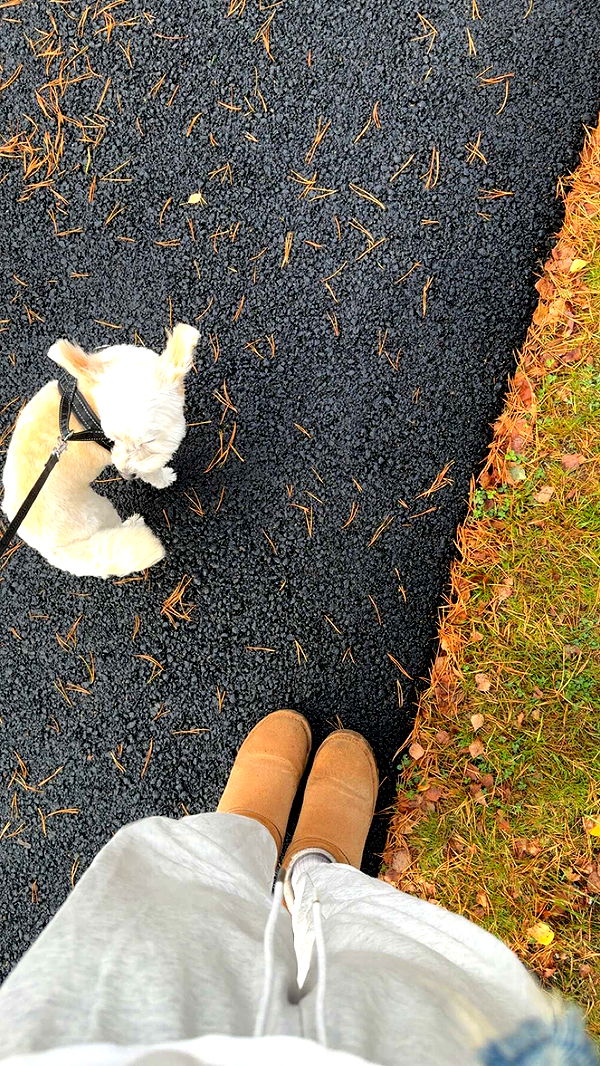 mathilda_bergs image ~ Altpins