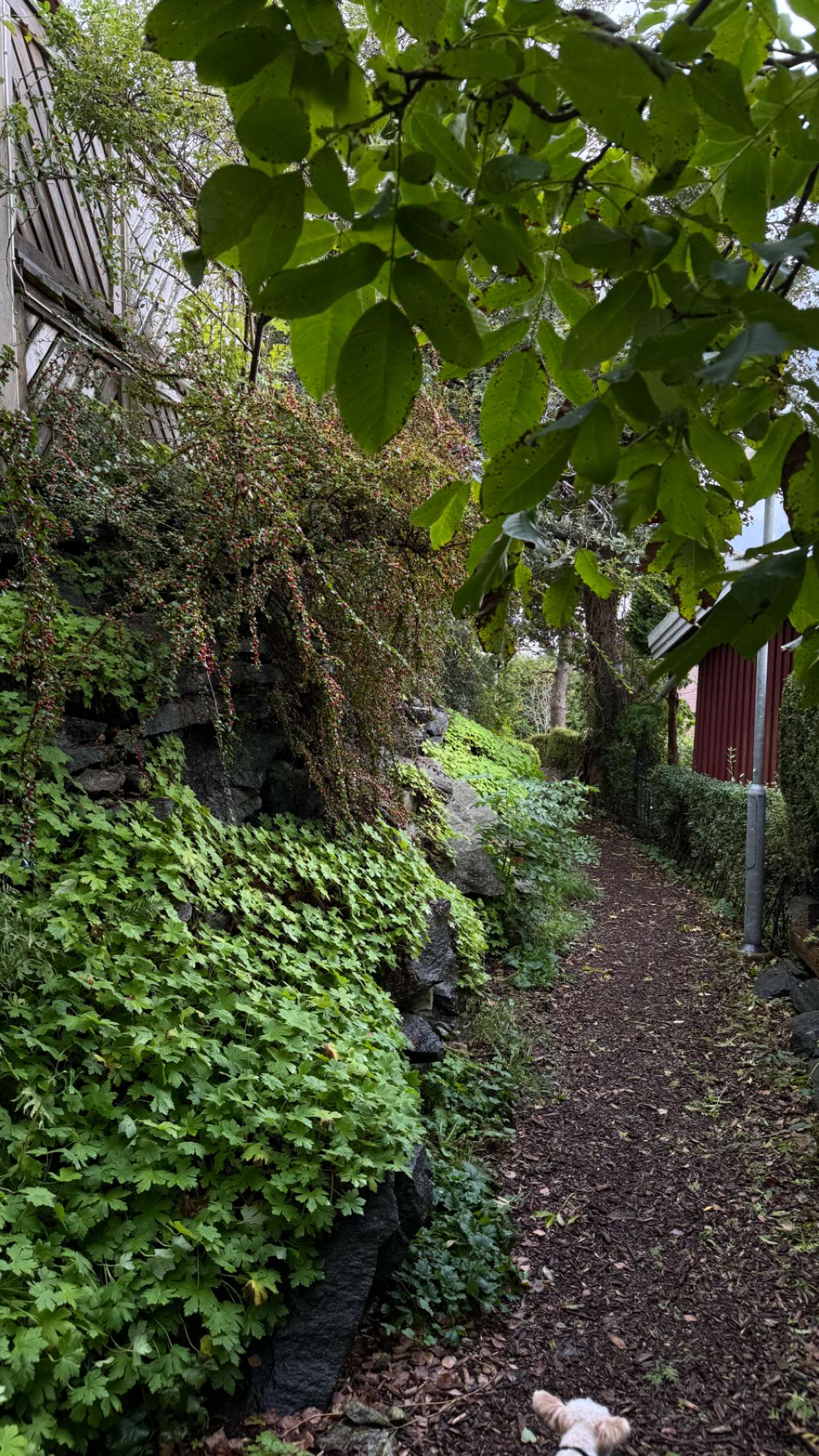 mathilda_bergs snapchat image archive image