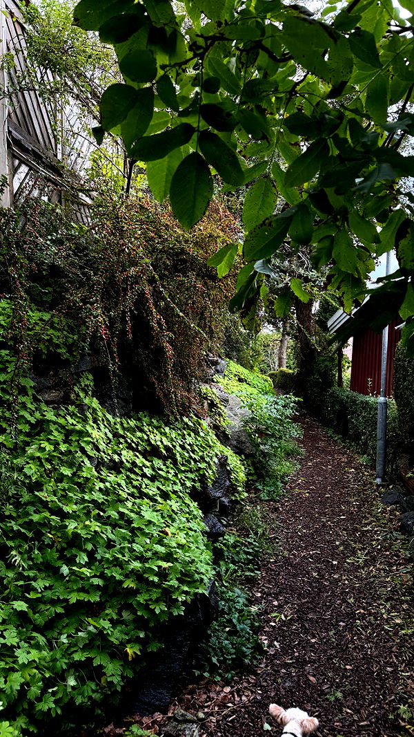 mathilda_bergs image ~ Altpins