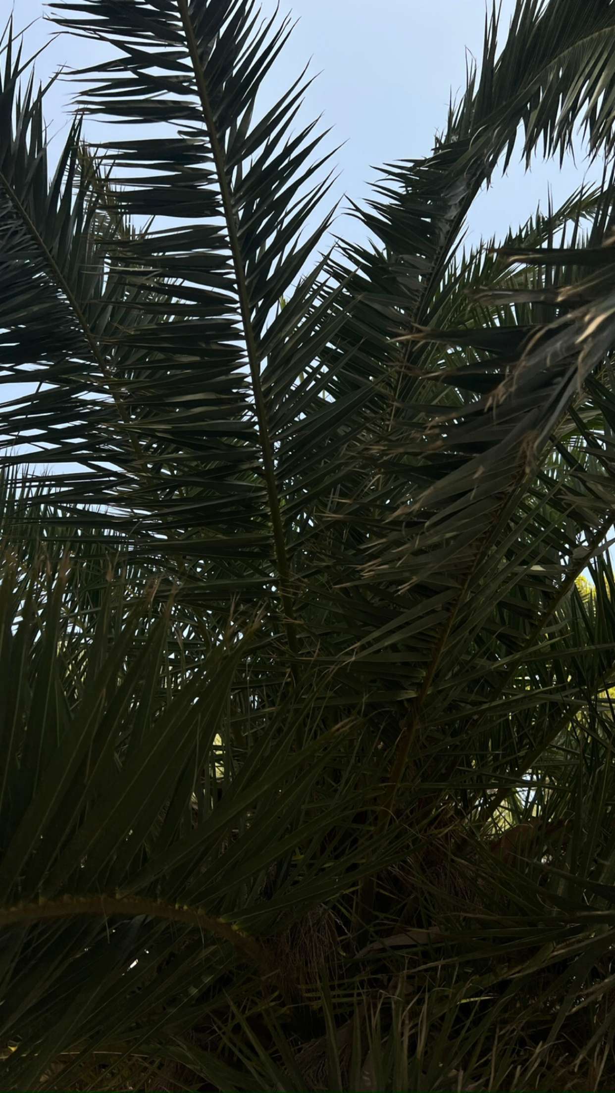 mathilda_bergs snapchat image archive image