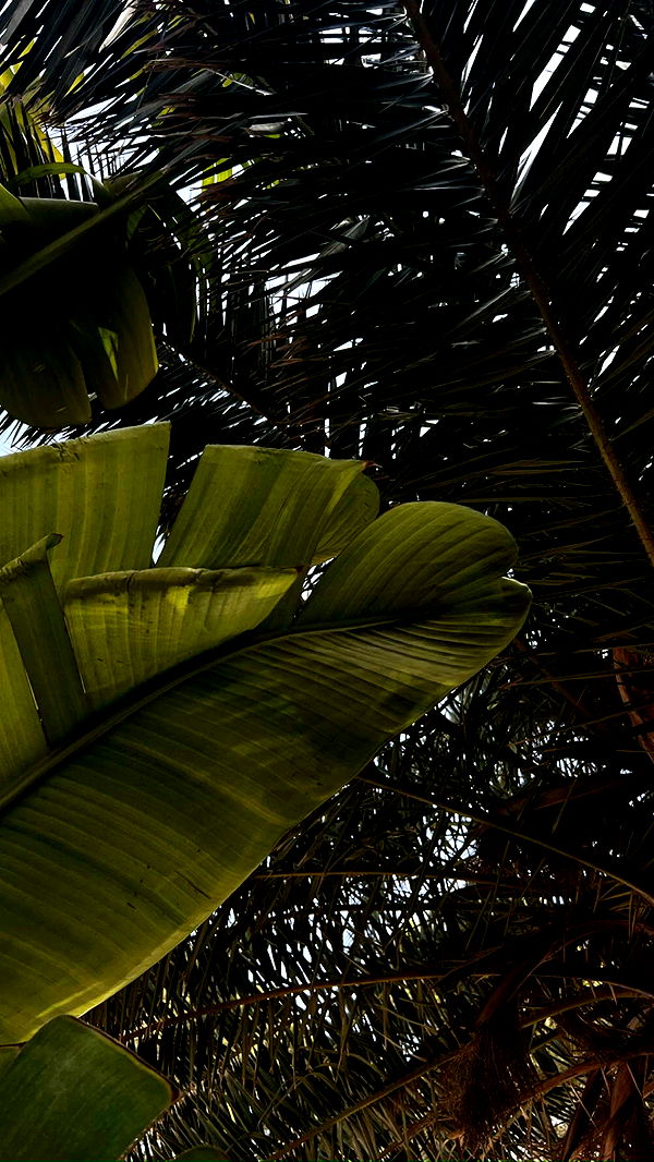 mathilda_bergs image ~ Altpins