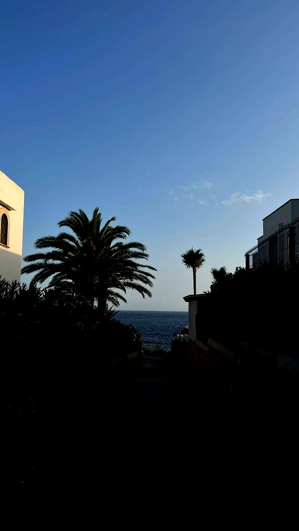 mathilda_bergs image ~ Altpins