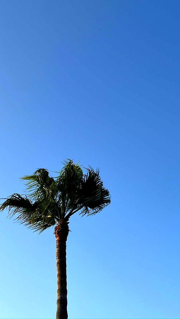 mathilda_bergs image ~ Altpins