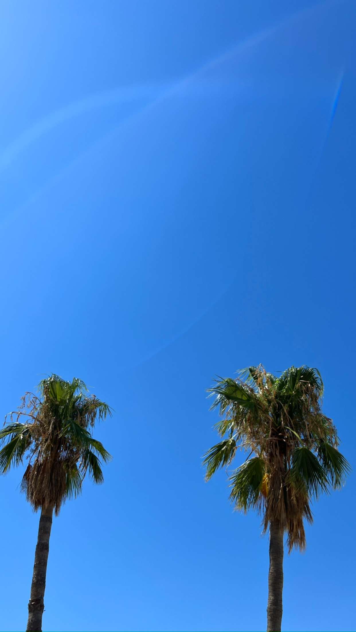 mathilda_bergs snapchat image archive image