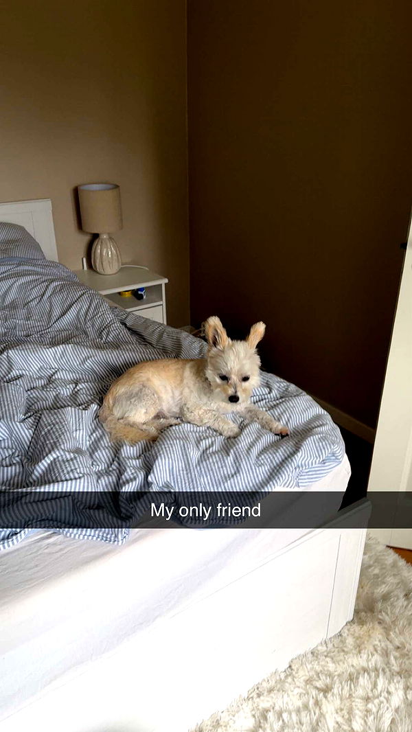 mathilda_bergs image ~ Altpins