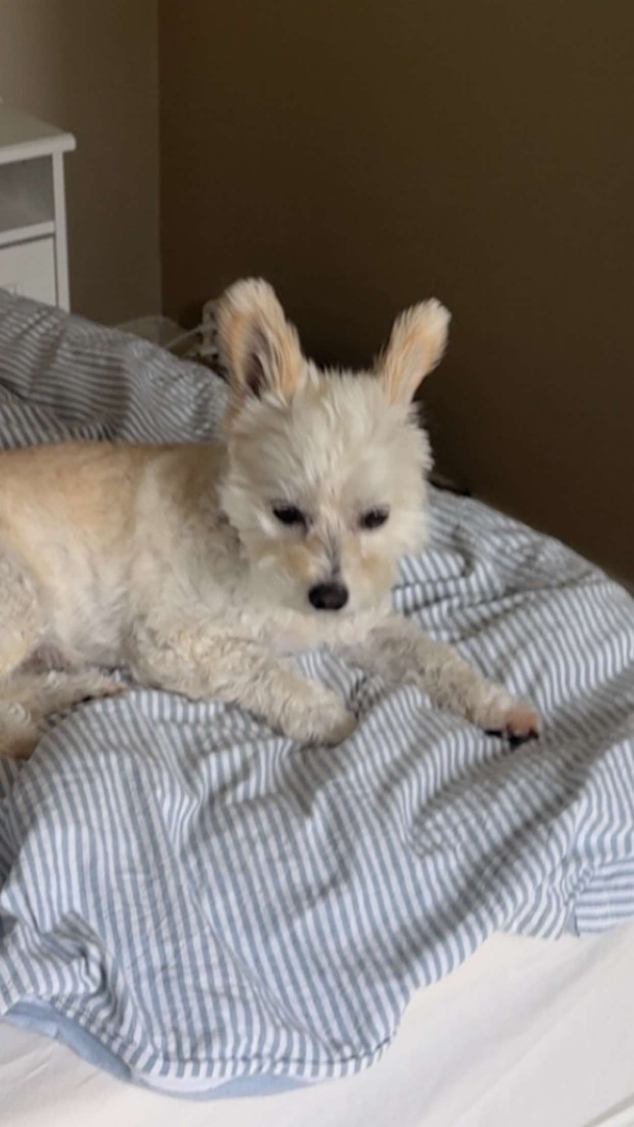 mathilda_bergs snapchat image archive image