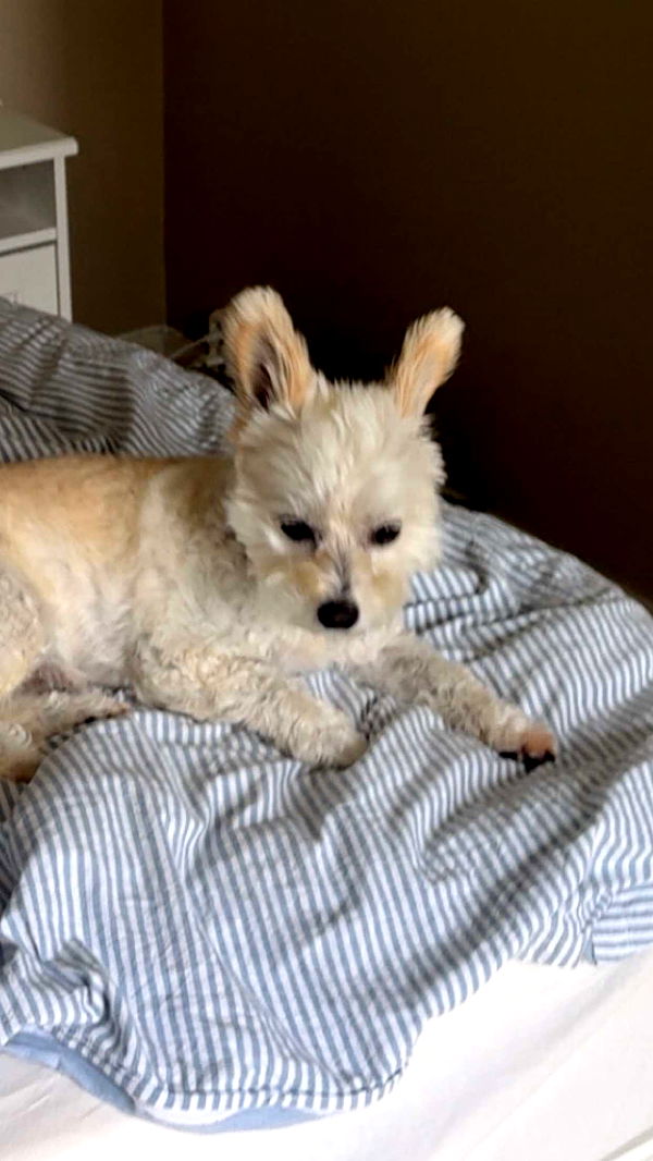 mathilda_bergs image ~ Altpins