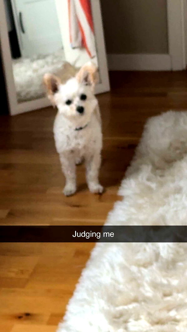 mathilda_bergs image ~ Altpins