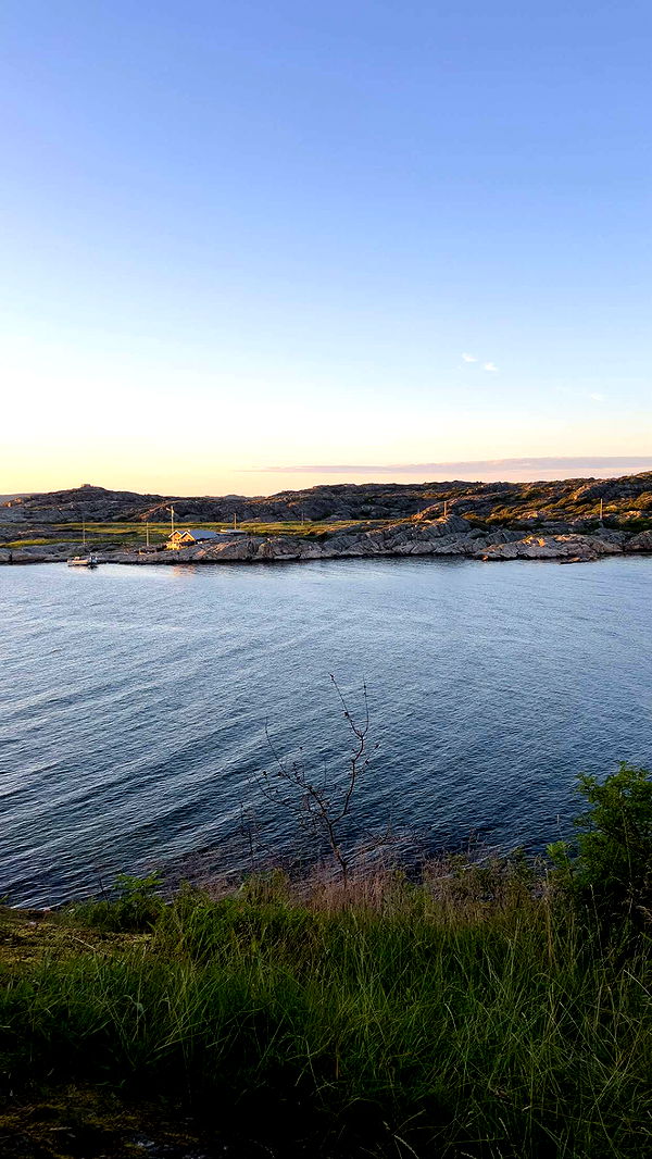 mathilda_bergs image ~ Altpins