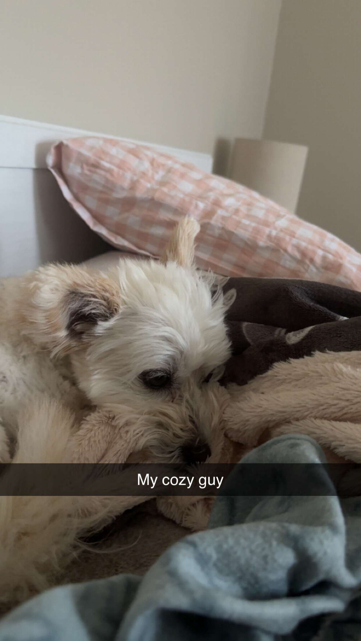 mathilda_bergs snapchat image archive image