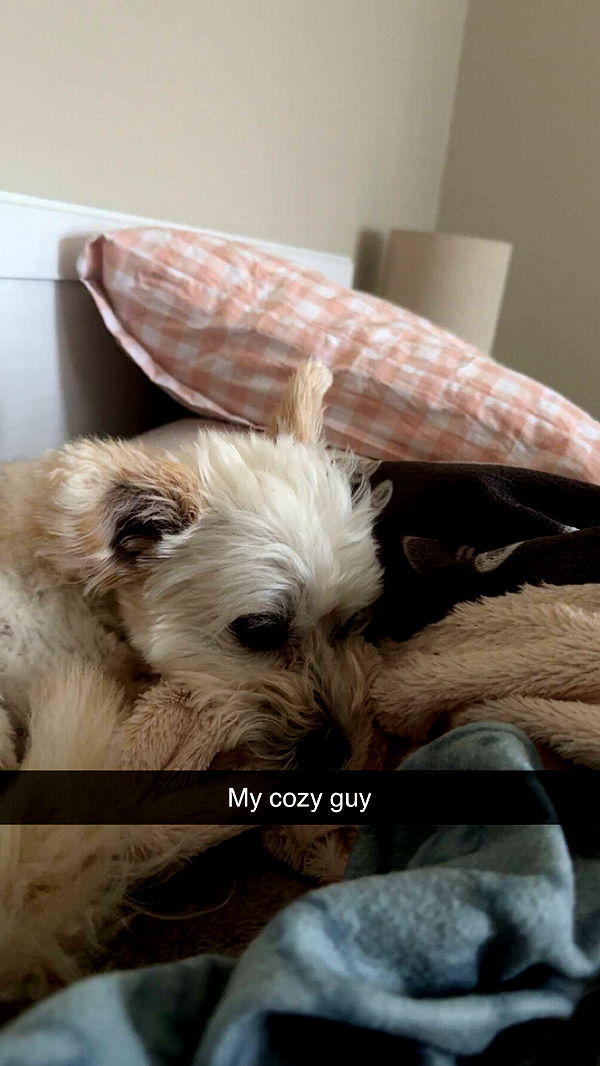 mathilda_bergs image ~ Altpins