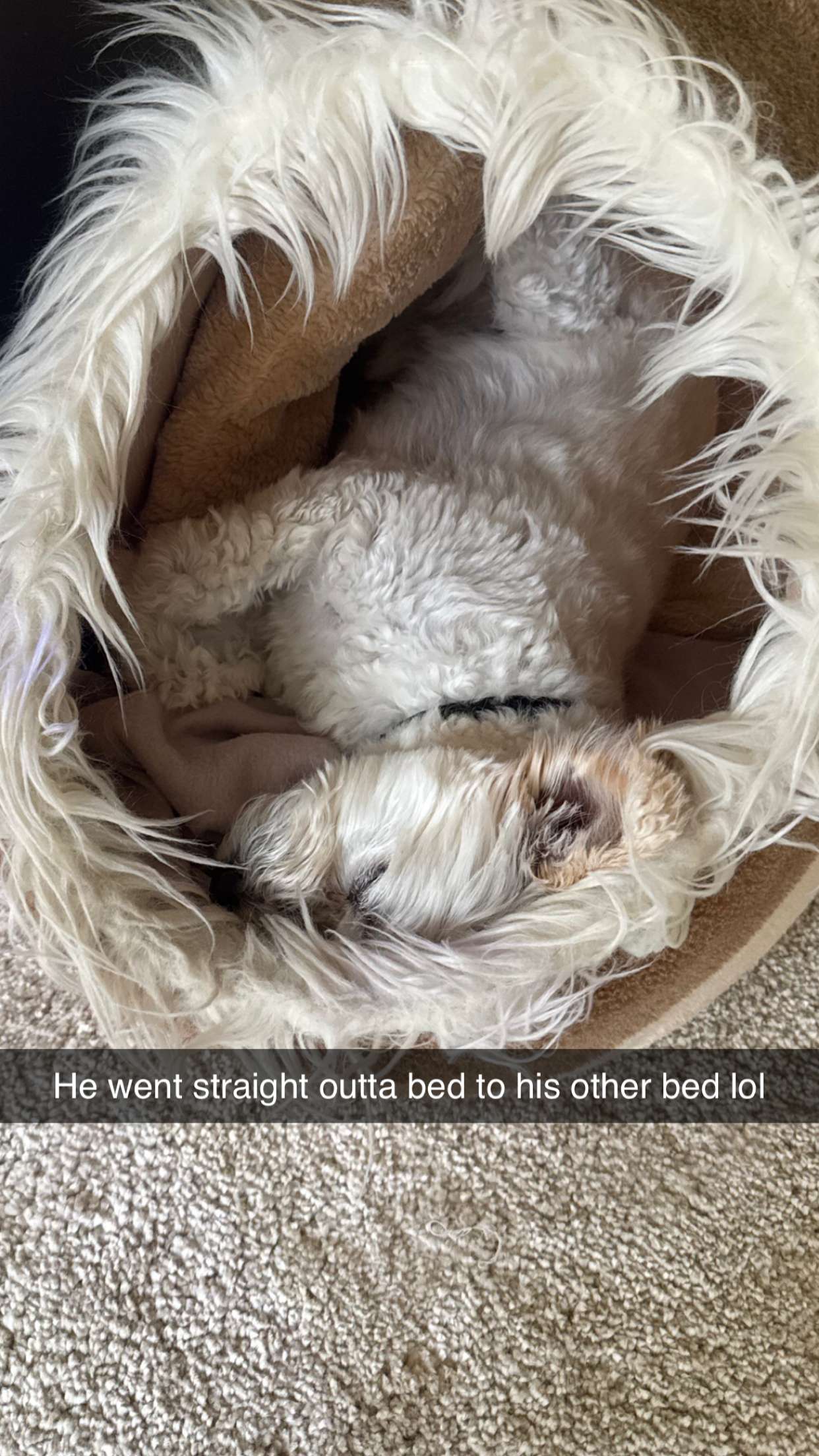 mathilda_bergs snapchat image archive image