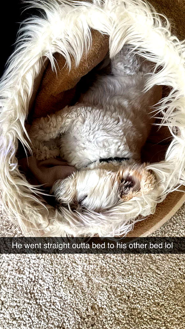 mathilda_bergs image ~ Altpins