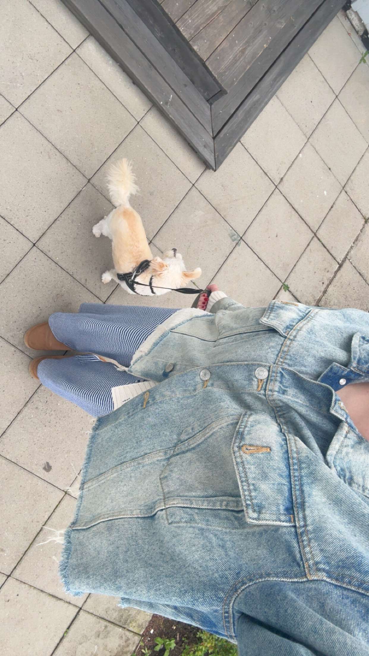 mathilda_bergs snapchat image archive image