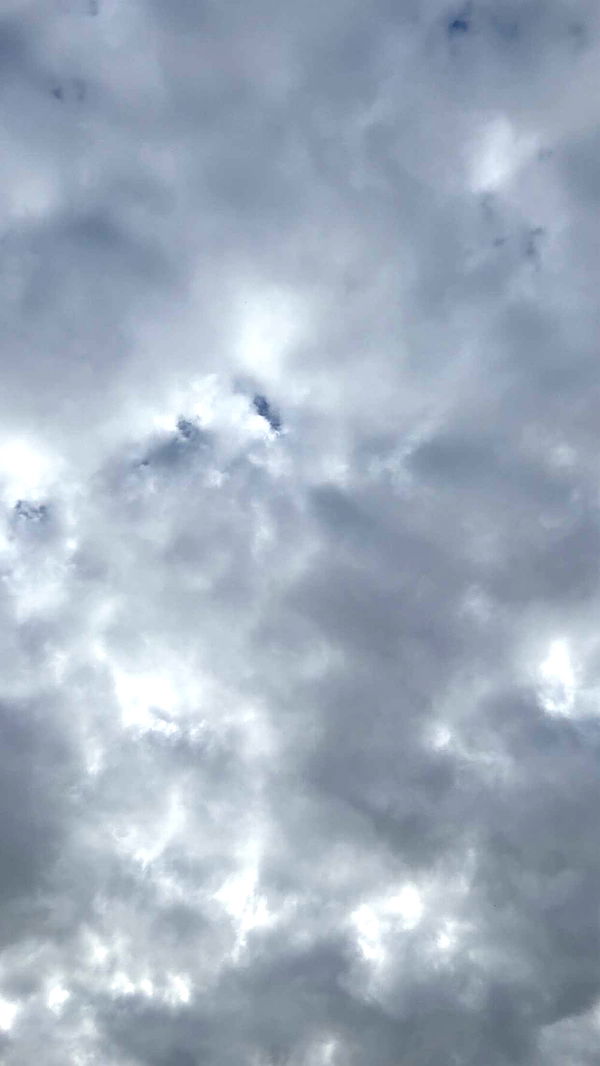 mathilda_bergs image ~ Altpins