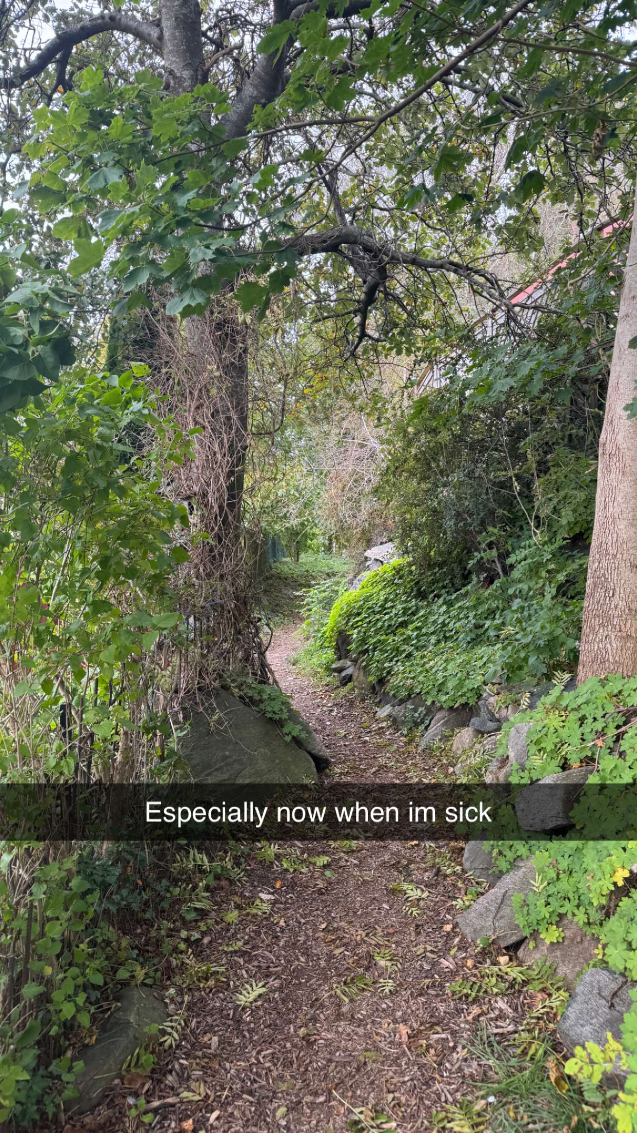 mathilda_bergs snapchat image archive image