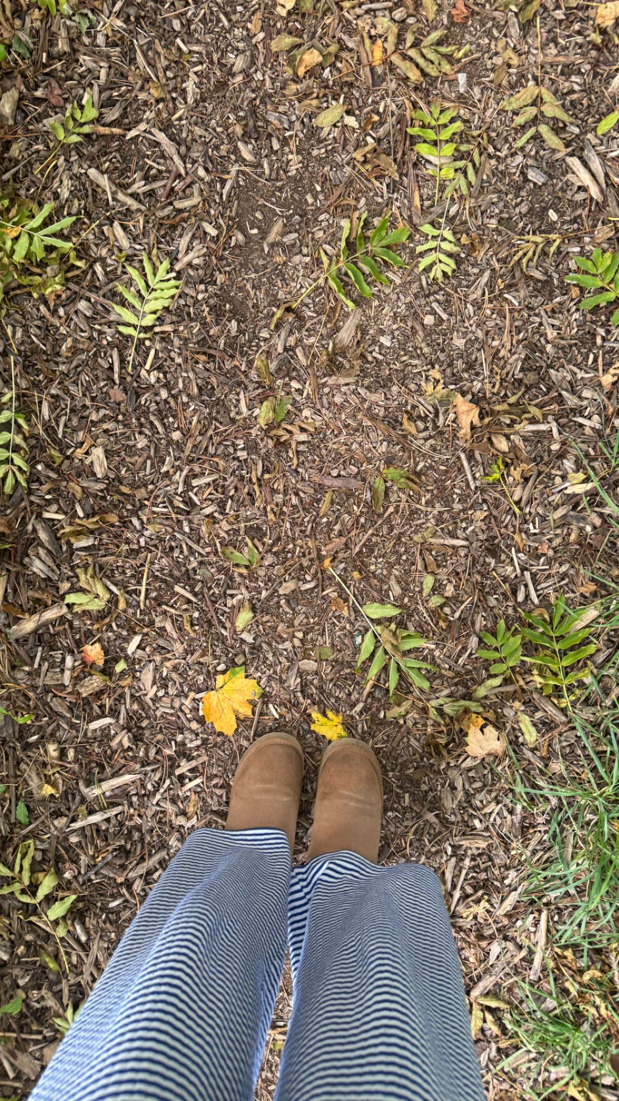 mathilda_bergs snapchat image archive image