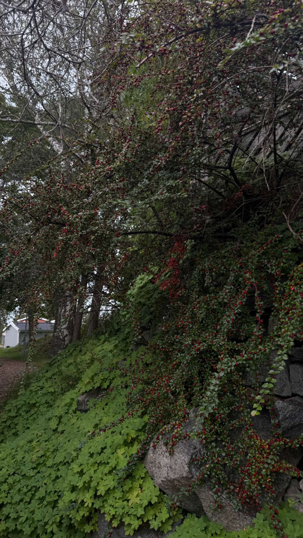 mathilda_bergs snapchat image archive image