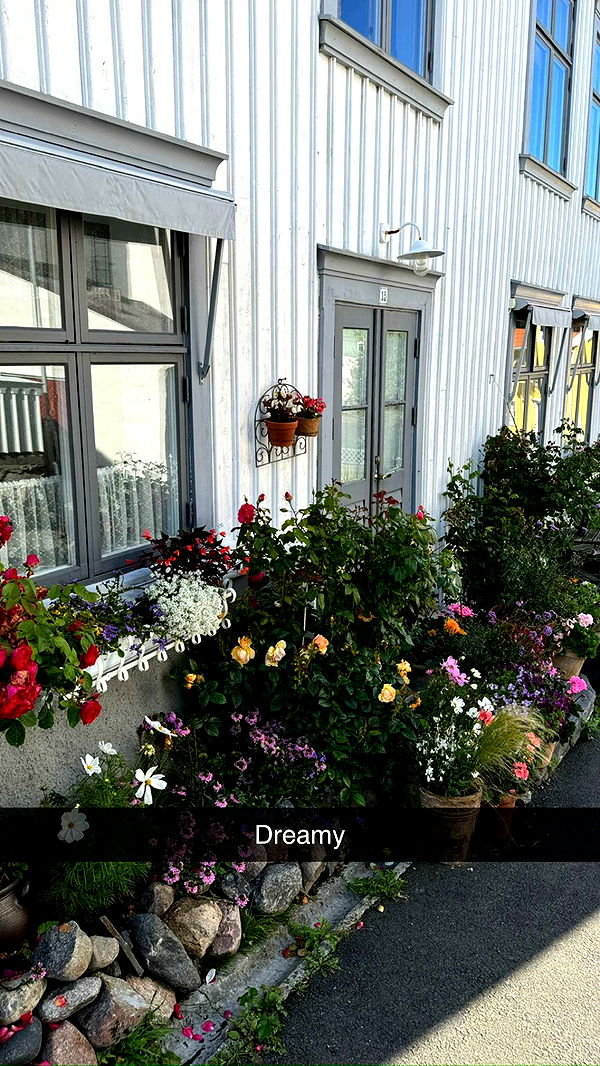 mathilda_bergs image ~ Altpins