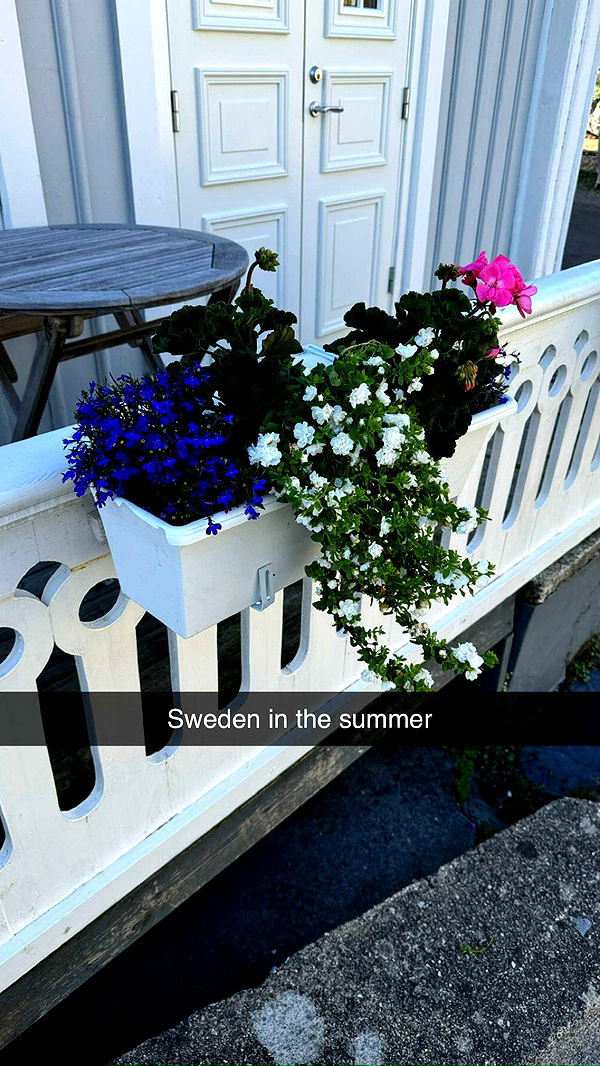 mathilda_bergs image ~ Altpins