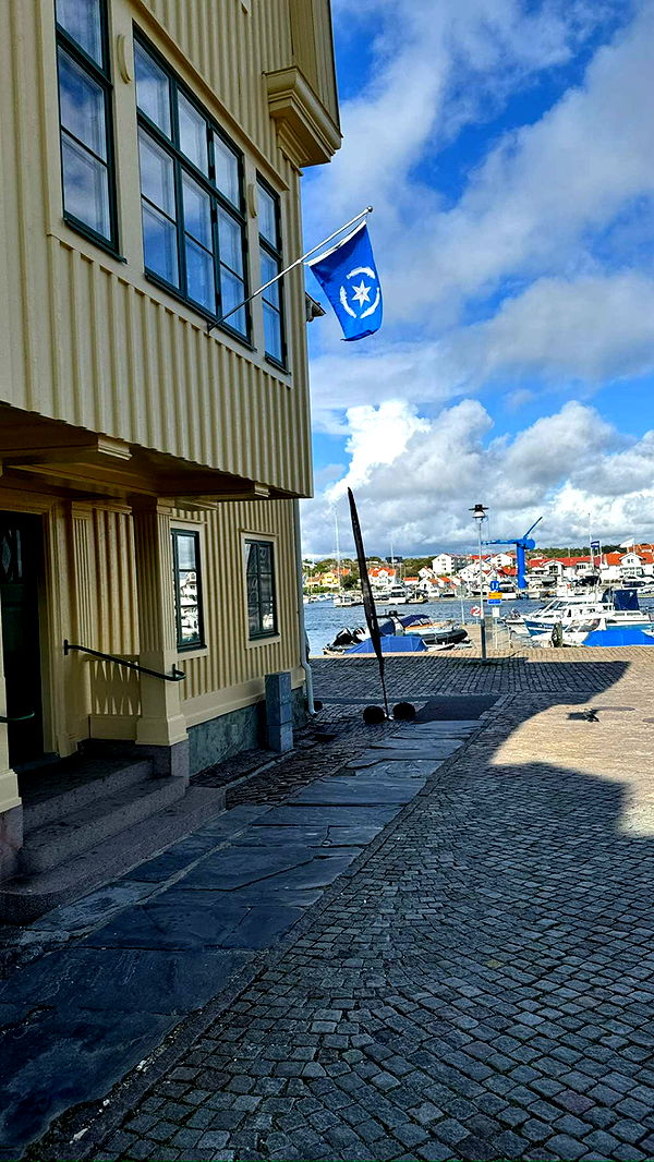 mathilda_bergs image ~ Altpins