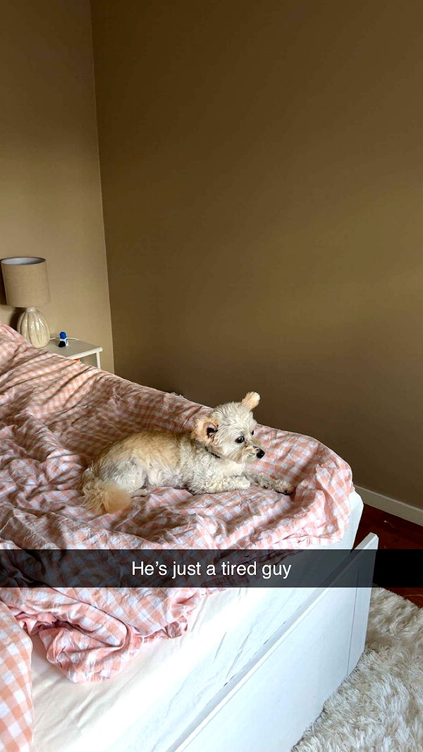 mathilda_bergs image ~ Altpins