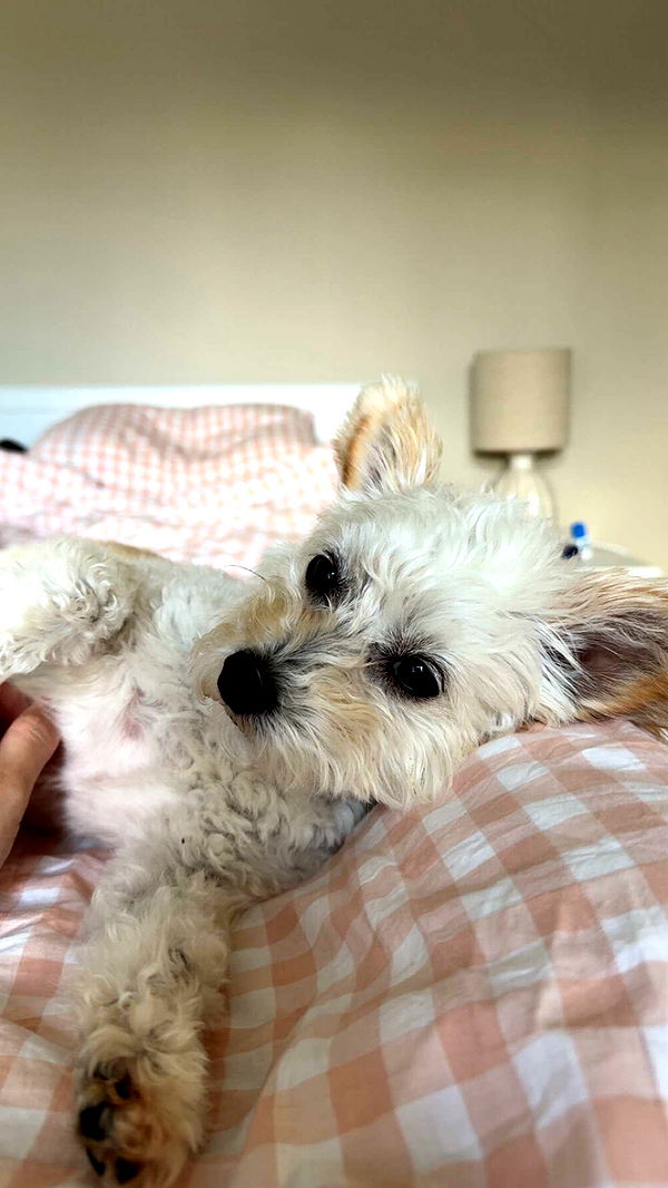 mathilda_bergs image ~ Altpins