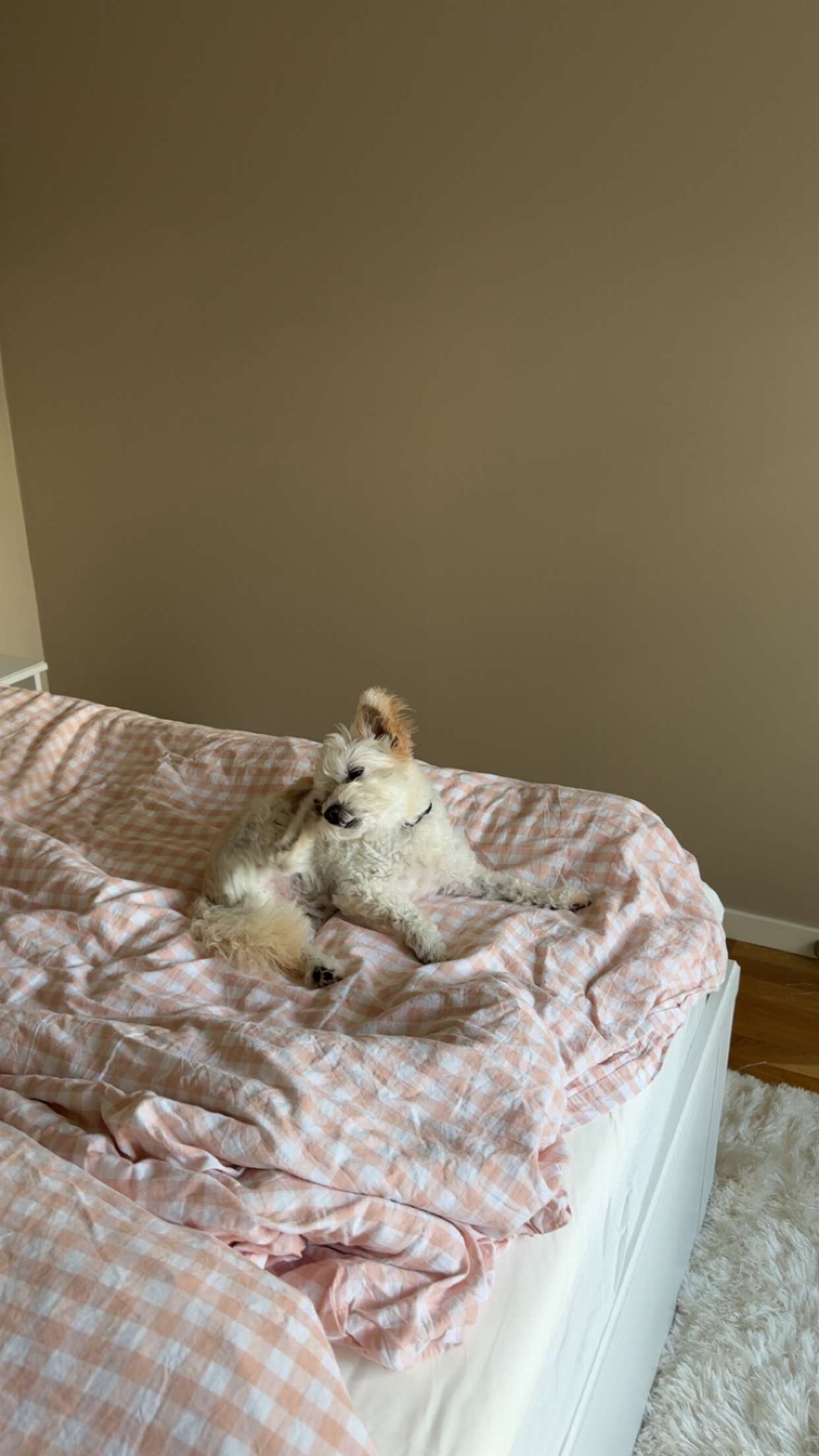 mathilda_bergs snapchat image archive image