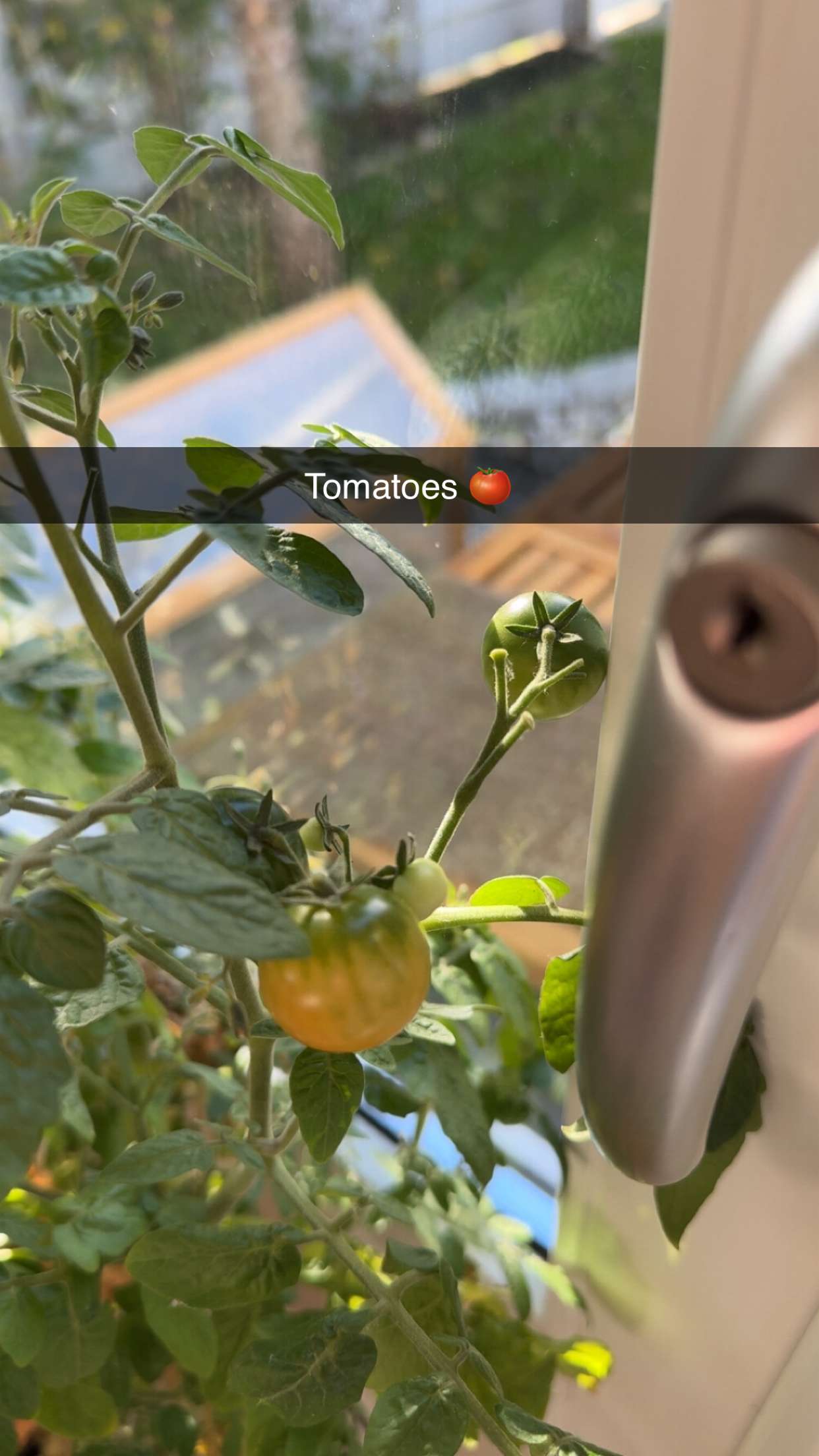 mathilda_bergs snapchat image archive image