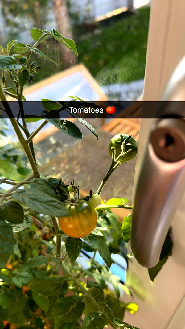 mathilda_bergs image ~ Altpins