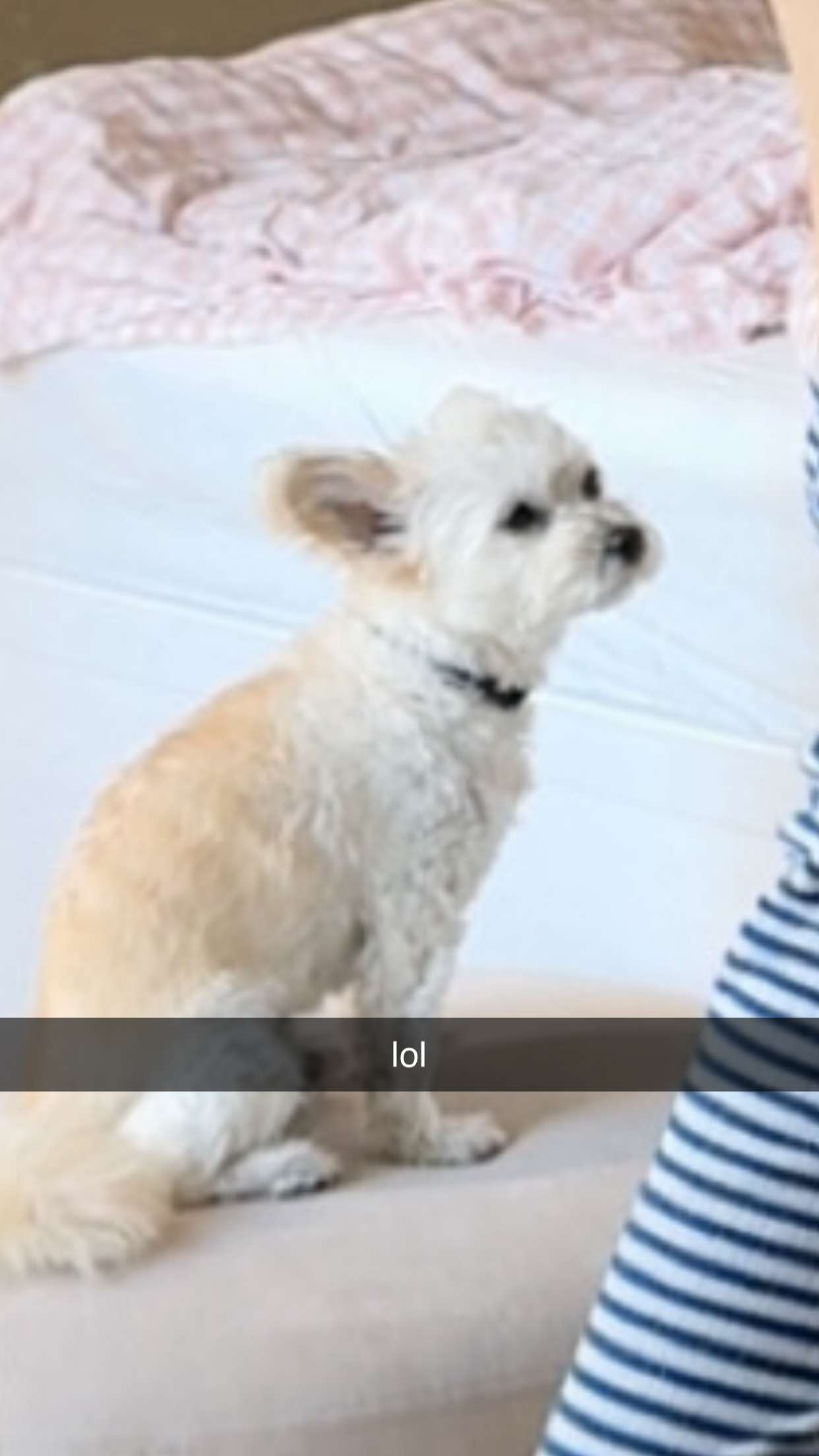 mathilda_bergs snapchat image archive image