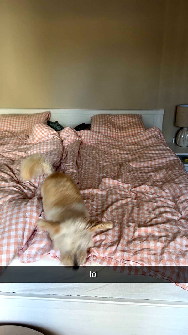 mathilda_bergs image ~ Altpins