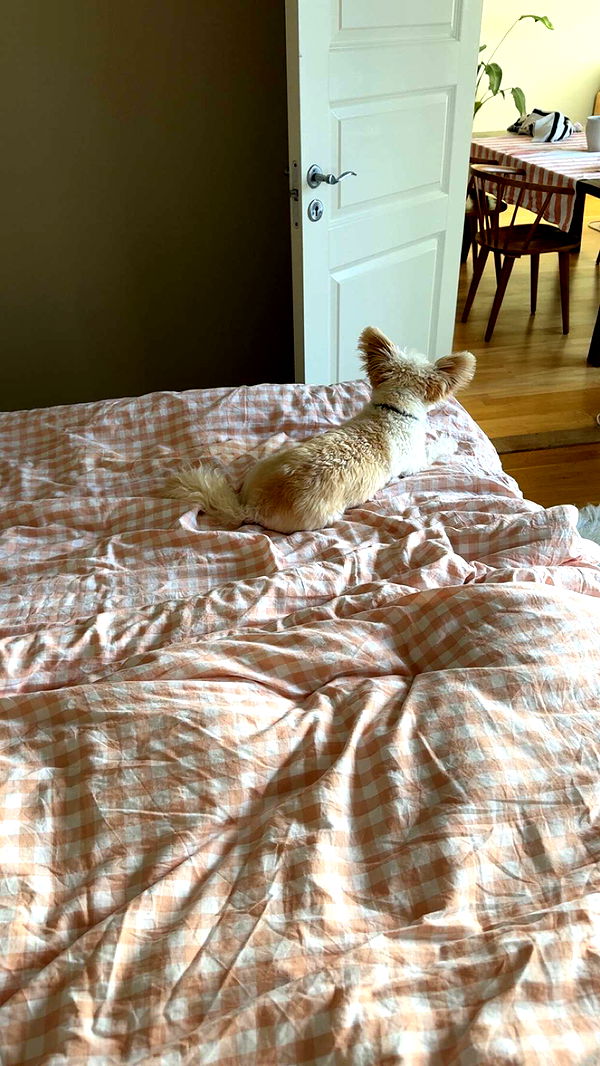 mathilda_bergs image ~ Altpins