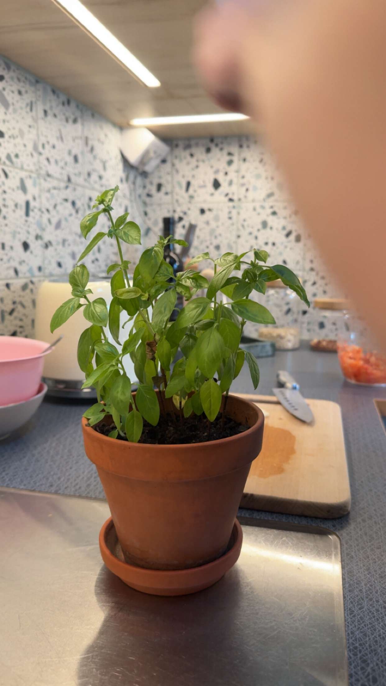 mathilda_bergs snapchat image archive image