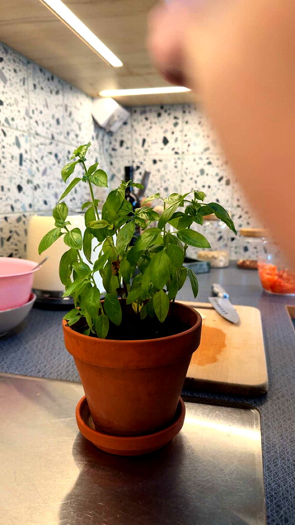 mathilda_bergs image ~ Altpins