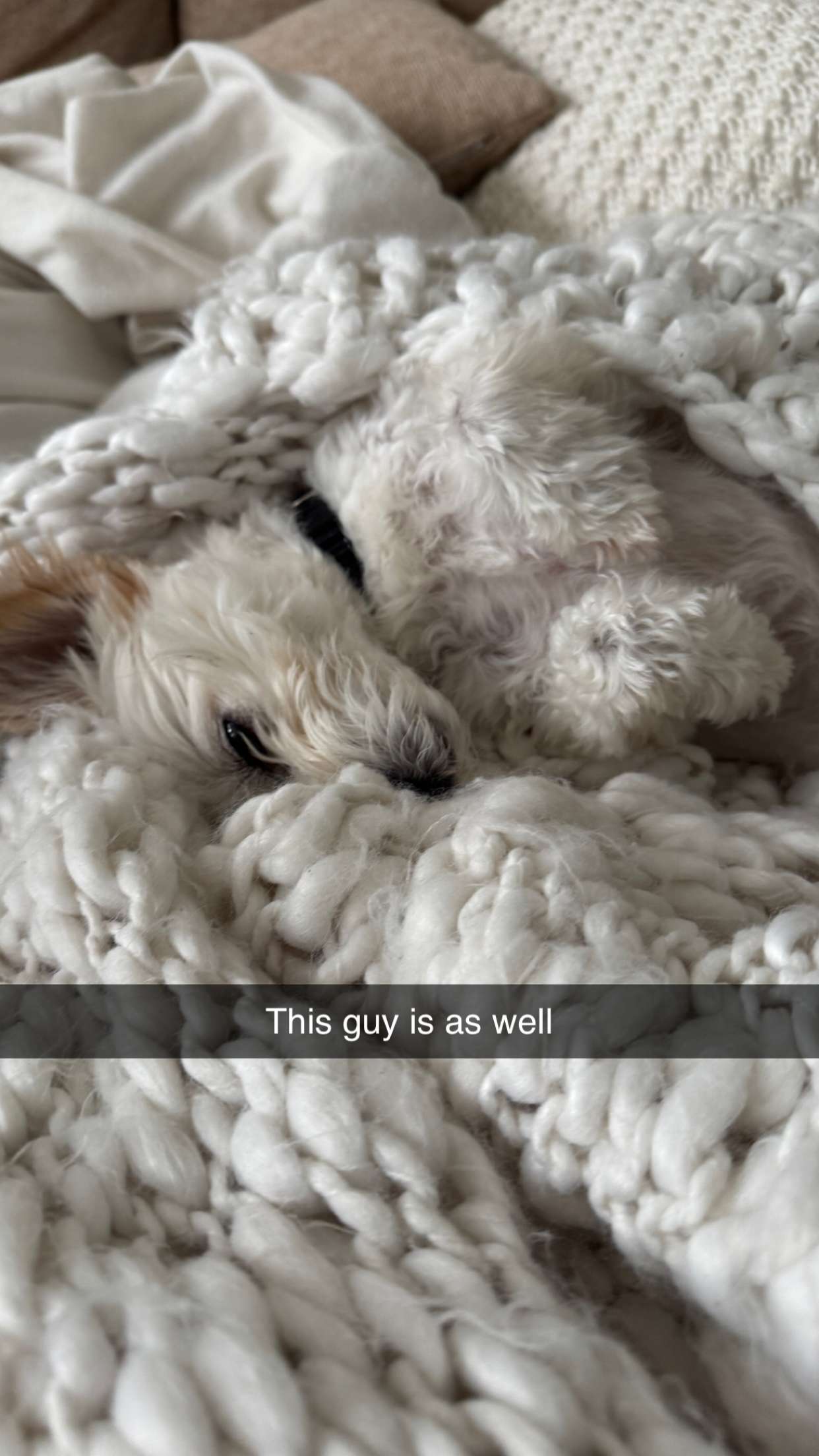 mathilda_bergs snapchat image archive image