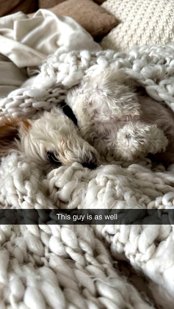 mathilda_bergs image ~ Altpins