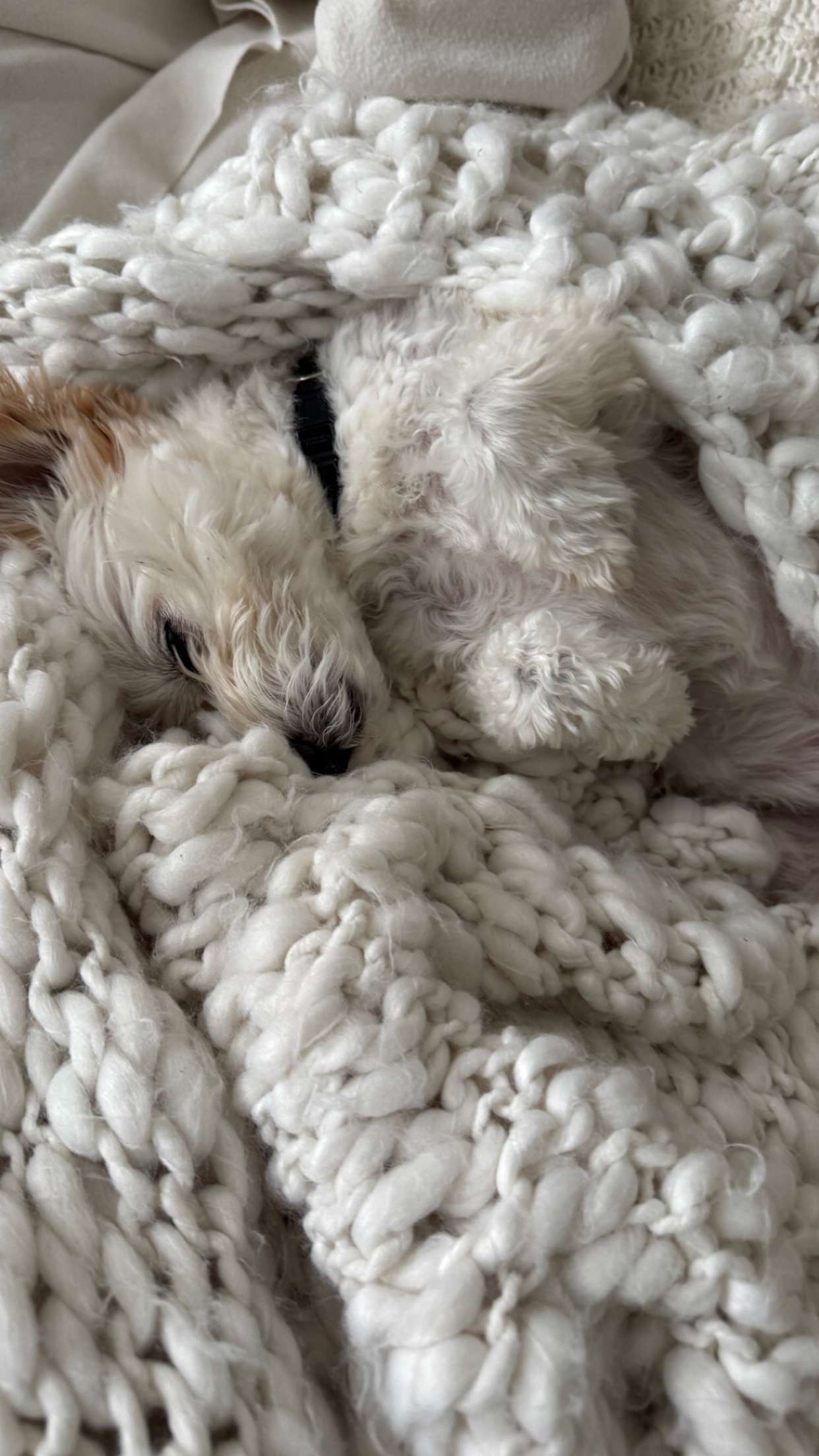 mathilda_bergs snapchat image archive image