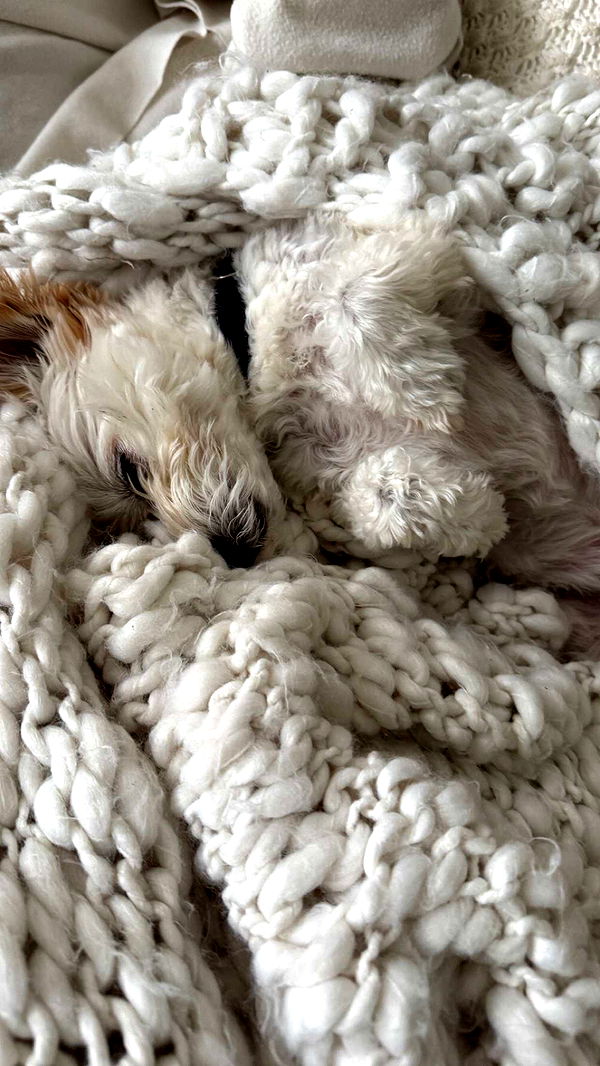 mathilda_bergs image ~ Altpins